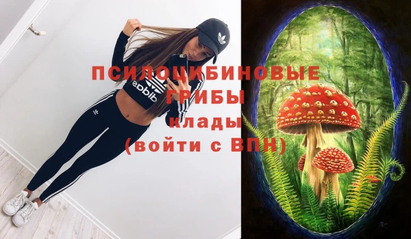 скорость Медвежьегорск